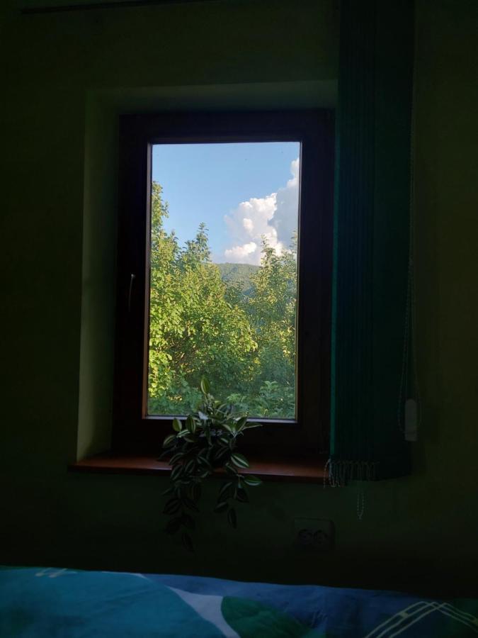 Cabana Cu Teren De Tenis -- Etaj Banita Bagian luar foto